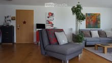 Modern living room with grey sofa, coffee table, screen, plant, cabinet, and artwork.
