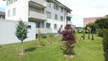 Well-maintained lawn with several small trees and shrubs, surrounded by a multi-story residential building with balconies and green shutters.