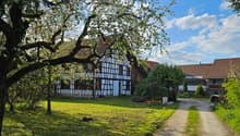 Traditional half-timbered house with blue walls and white trim, surrounded by lush greenery and a large tree with white blossoms. A gravel path leads to the house.