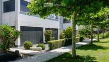 Modern garden with a well-maintained lawn, trimmed hedges, trees, and a wooden deck area near the house.