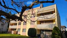 3 story apartment building, yellow and pink exterior, balconies, green lawn, shrubs, tree