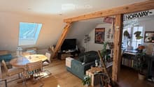 A cozy living room with wooden flooring, a large window, a skylight, a sofa, a dining table with chairs, a television, and several plants. The room features a colorful rug and various decorative items, including posters and a bookshelf.
