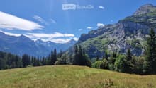 A panoramic view of a lush green meadow surrounded by dense forests and towering mountain peaks under a clear blue sky.