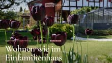 A well-maintained garden with dark red tulips in the foreground, featuring a traditional half-timbered house with red shutters and a greenhouse in the background.