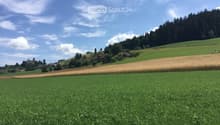 A peaceful rural landscape with green fields, scattered trees, and a few houses in the distance under a partly cloudy sky.