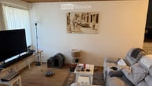 Living room with a grey sofa, coffee table, cat tree, cat house, and a large screen on a table. The room has wooden flooring and a large window with white curtains.