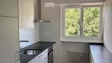 Modern kitchen with white cabinets, black countertop, stainless steel sink, oven, and radiator. Large window with view of greenery.