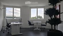 Modern office space with large windows, a desk with a computer, chairs, a small meeting table, and a large potted plant.