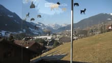 View from a balcony or window with printed images of animals and mountains