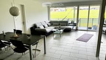 Modern living and dining area with a grey sectional sofa, glass coffee table, black dining table with chairs, and a hanging spherical lamp. Large sliding glass doors open to a view of a green field.