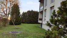 Lawn with trees and a modern house in the background.
