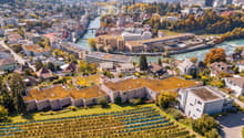 Aerial view of a cityscape with a mix of residential and commercial buildings, surrounded by greenery and a river running through the area.