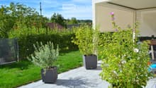 Well-maintained garden with potted plants, a neatly trimmed lawn, and a modern outdoor seating area with a table and chairs.