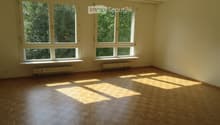 Empty room with wooden flooring and large windows allowing natural light to enter, with radiators beneath the windows.