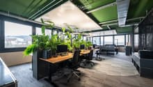 Modern office space with wooden desks, ergonomic chairs, multiple computer setups, and large green plants near large windows.