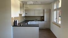 Modern kitchen with white cabinets, black countertop, and wooden flooring. Features a sink, stove, and various small items on the counter.