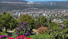 Balcony with vibrant purple and red flowers, overlooking a cityscape with buildings and distant mountains.