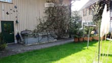 Garden area with green grass, small pathway, wooden house with green door, climbing plants, and decorative elements.