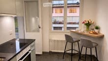 Modern kitchen with an induction stove, oven, bar counter, and two bar stools. A vase with tulips, a cup, a bottle, and a plate with pastries are on the counter. A potted plant is also visible.