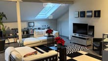 Modern living room with white sofa, coffee table, TV, floor lamp, bookshelf, and potted plants. Features a skylight and contemporary decor.