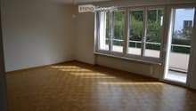 Empty room with wooden herringbone flooring, large windows with white frames, radiator, and a hanging light fixture.