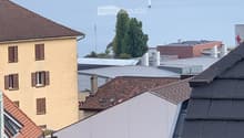 Listing picture