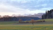 A serene landscape with a grassy field, scattered trees, and distant snow-capped mountains under a partly cloudy sky.