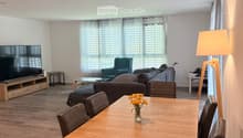 Modern living and dining area with a sofa, armchair, coffee table, dining table with chairs, television, and floor lamp.