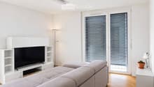 Modern living room with white walls, light wooden flooring, grey sectional sofa, flat-screen TV on a white stand, and a small table lamp with a potted plant.