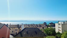 4025.000006 - Vue
