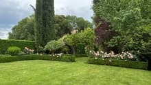 Immagine dell’oggetto