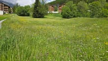 Listing picture