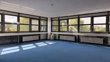 large room, blue carpet, large windows, radiators, floor lamp