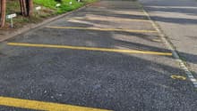 Multiple parking spaces, some labeled, yellow parking lines, trees lining the edge