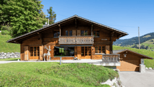 wooden chalet, gable roof, balcony, deer statue, stone wall, garage