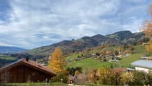 Immagine dell’oggetto