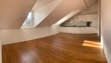 Spacious attic apartment with vaulted ceilings, hardwood floors, and a modern kitchen with built-in appliances including a dishwasher.