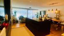 large open plan living and kitchen area, modern decor, kitchen island, dining table, living couch, wooden floor, large windows, indoor plants