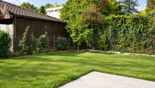 Listing picture