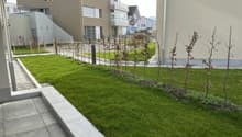 Listing picture
