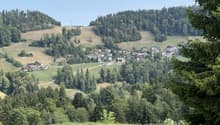 Immagine dell’oggetto