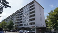 DSC00173.JPG
