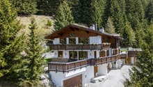 Grün, idyllische Hanglange direkt am Waldrand.