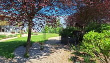Listing picture
