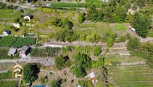 DJI_0059