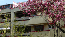 Listing picture