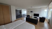 Modern interior, living room, dining area, TV, sofa, chairs, table, kitchen, bedroom
