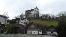 Several houses on hill, larger one at top, brown wooden houses below, small town with cars