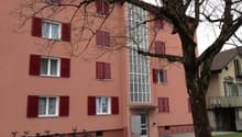 A pink building with multiple windows and red shutters, a tree in front, and bicycles parked outside.