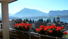 Immagine dell’oggetto